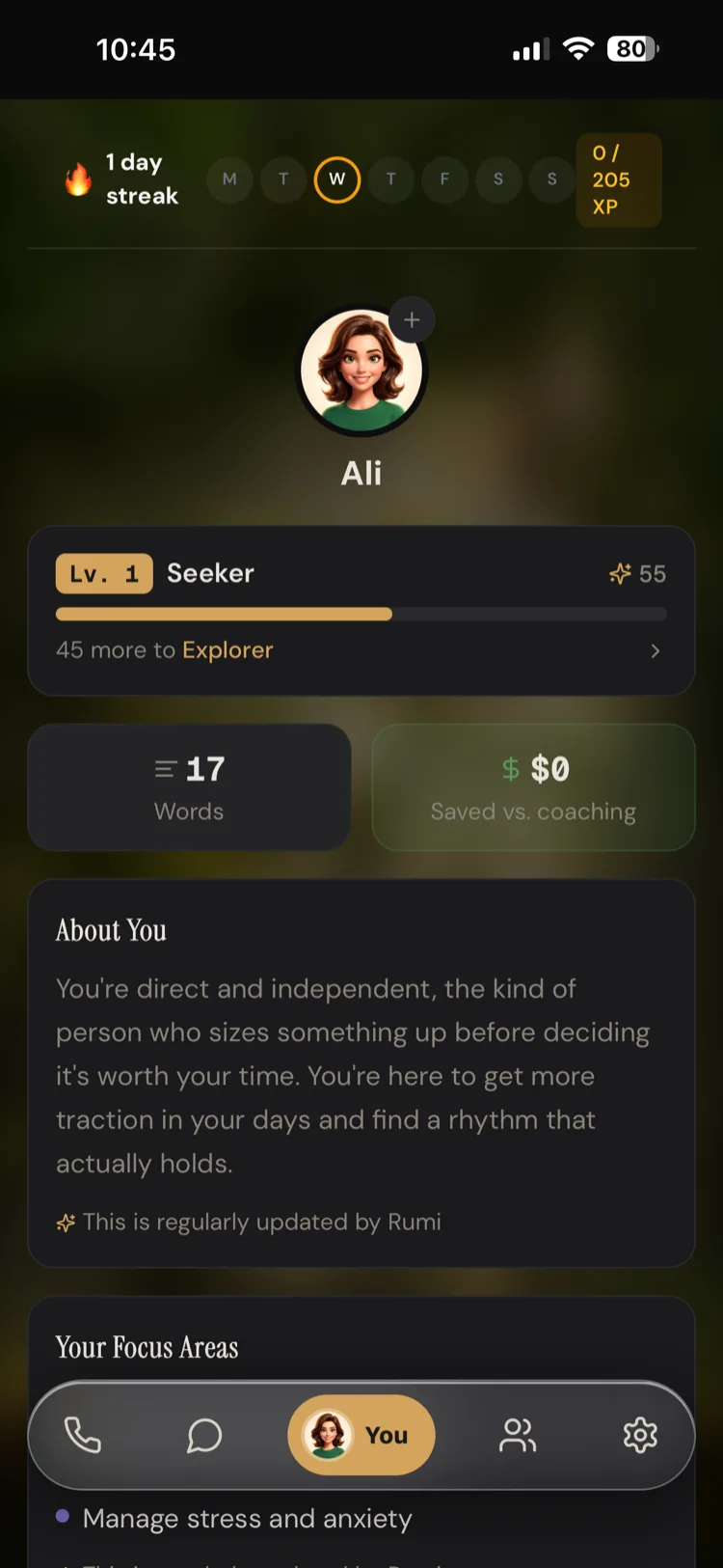 Rumi You tab — your streak, level, and the evolving picture of who you are